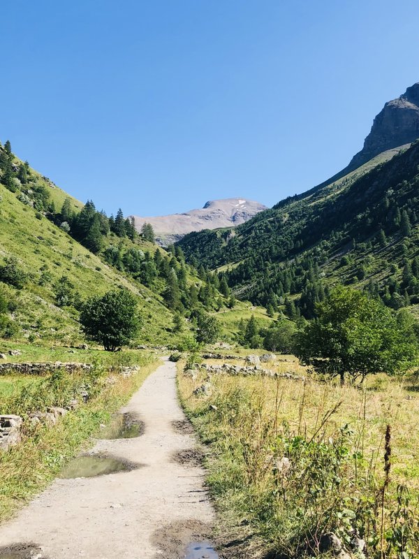 Quels ingrédients naturels privilégier pour des masques capillaires réparateurs ?